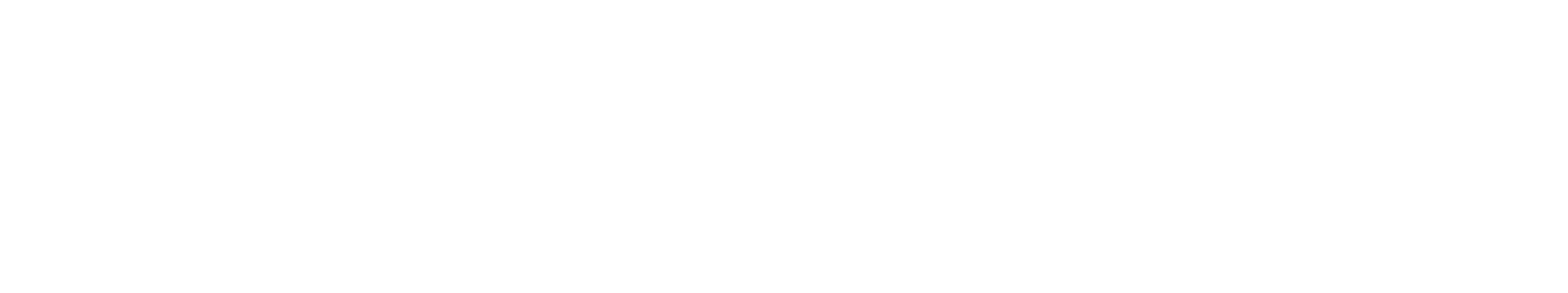 Flota servis